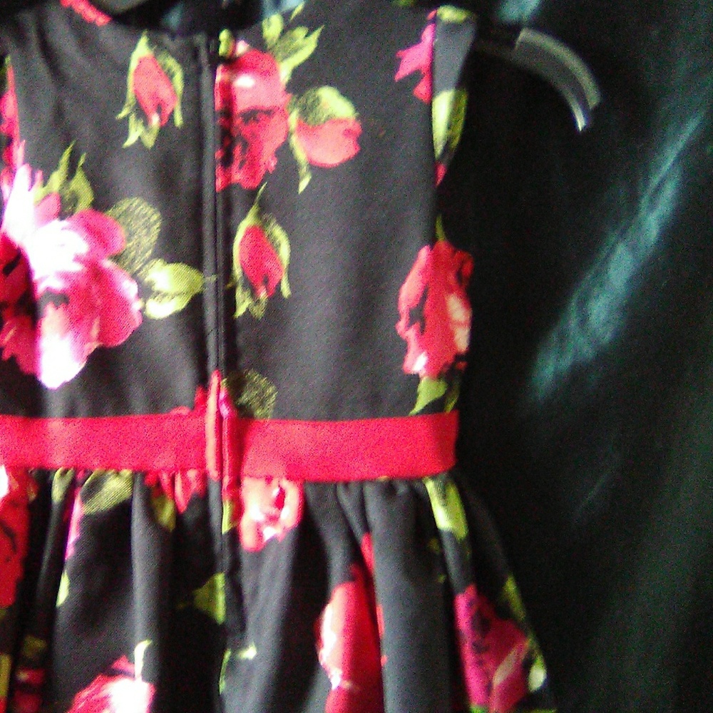 Dress - Picture 3 of 4